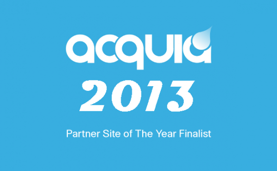 partner finalist